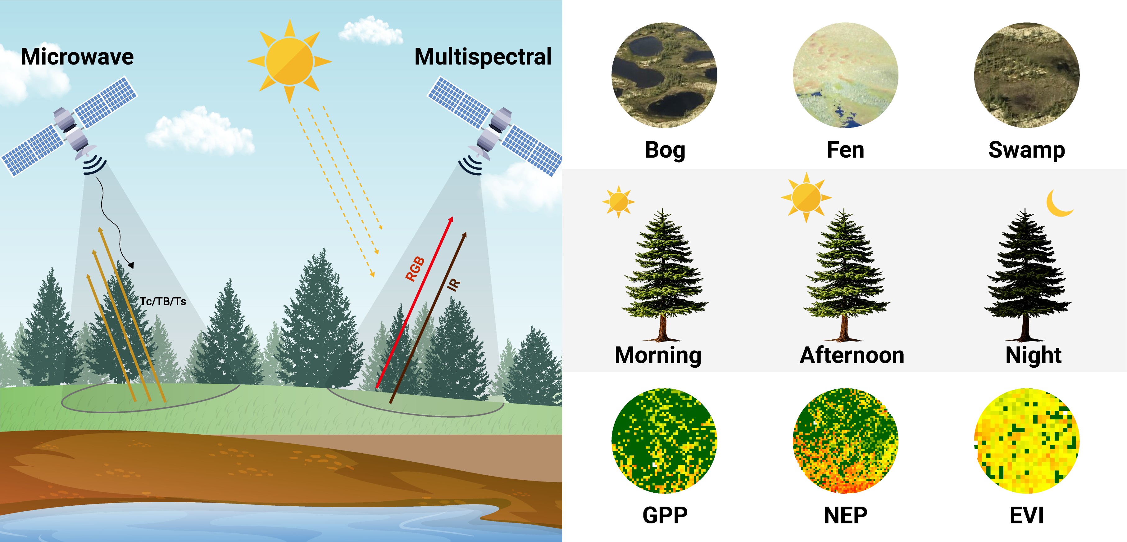 Biodiversity from Space
